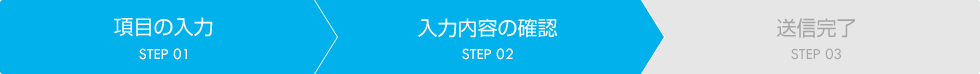 入力内容の確認